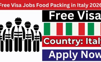 Free Visa Jobs Food Packing in Italy 2026